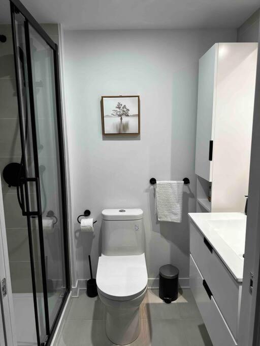 Bel Appartement Au Centre-Ville מונטריאול מראה חיצוני תמונה